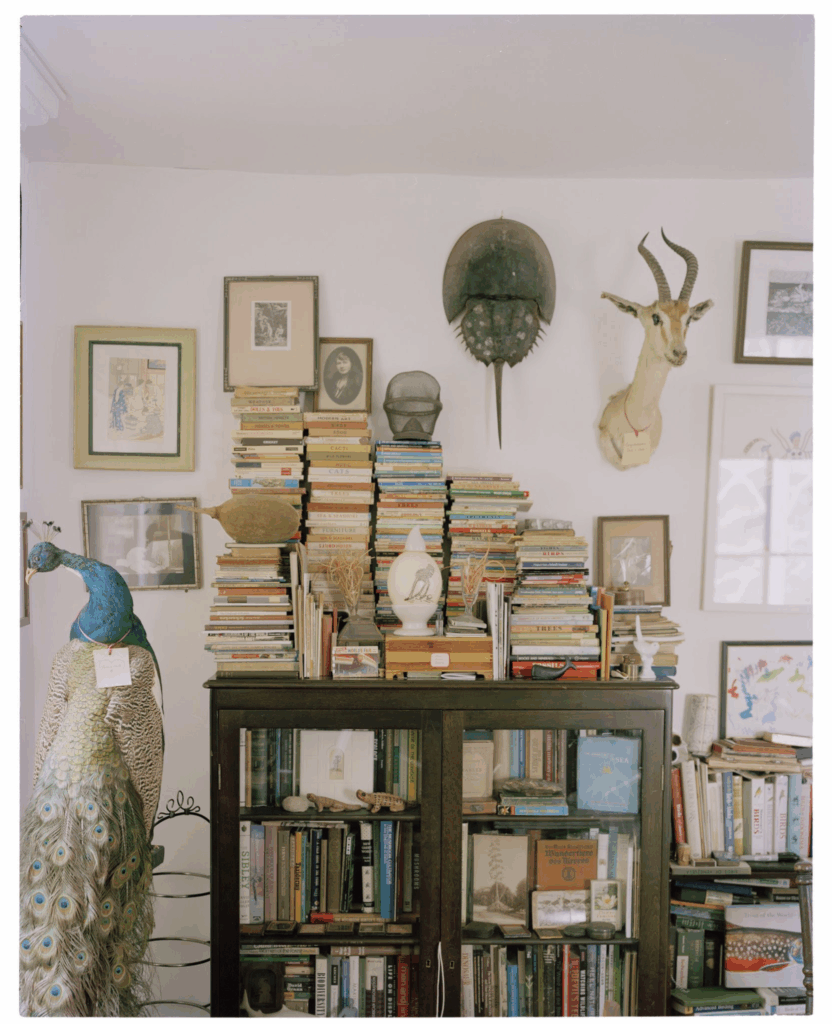 Jared Thorne, Case Study 1, 2025, Archival Pigment Print, 40 x 32 in., Edition of 3 Plus one Artist Proof