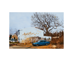 Daina Higgins Toyota Corolla 2020, Oil on birch panel, 20 x 30 inches