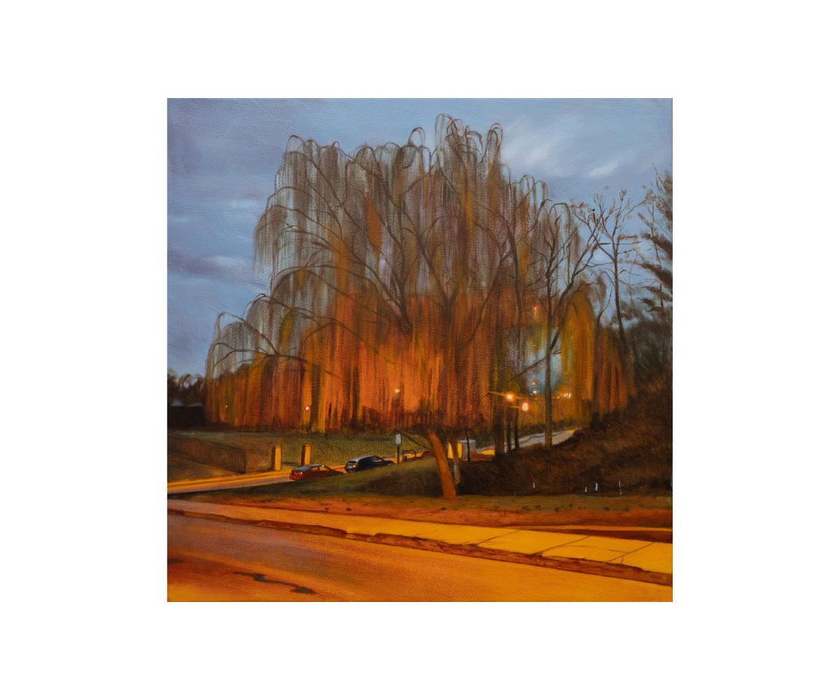 Daina Higgins, Willow Tree in Gorgas Park (Pandemic Painting), 2020, Oil on birch panel, 18x18 inches.